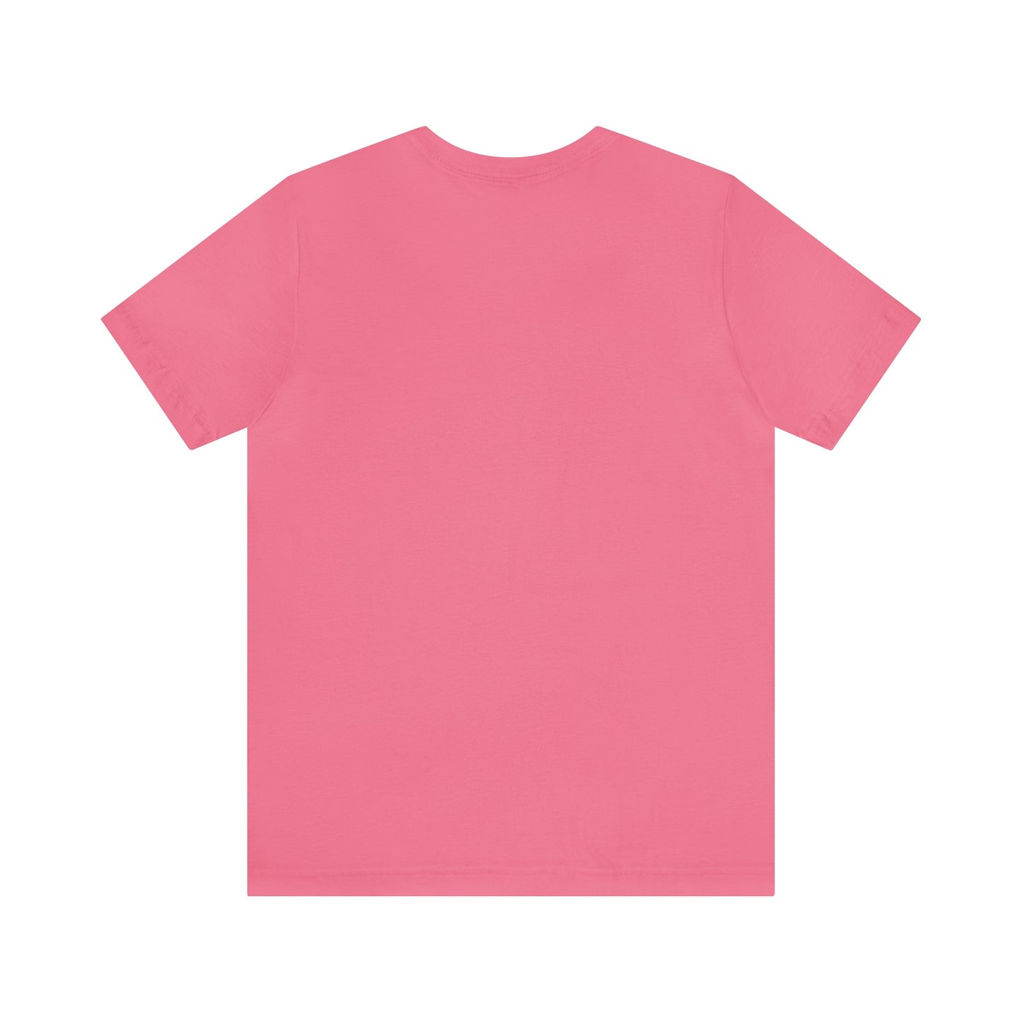 Top Modesty Collection Jersey Short Sleeve Tee