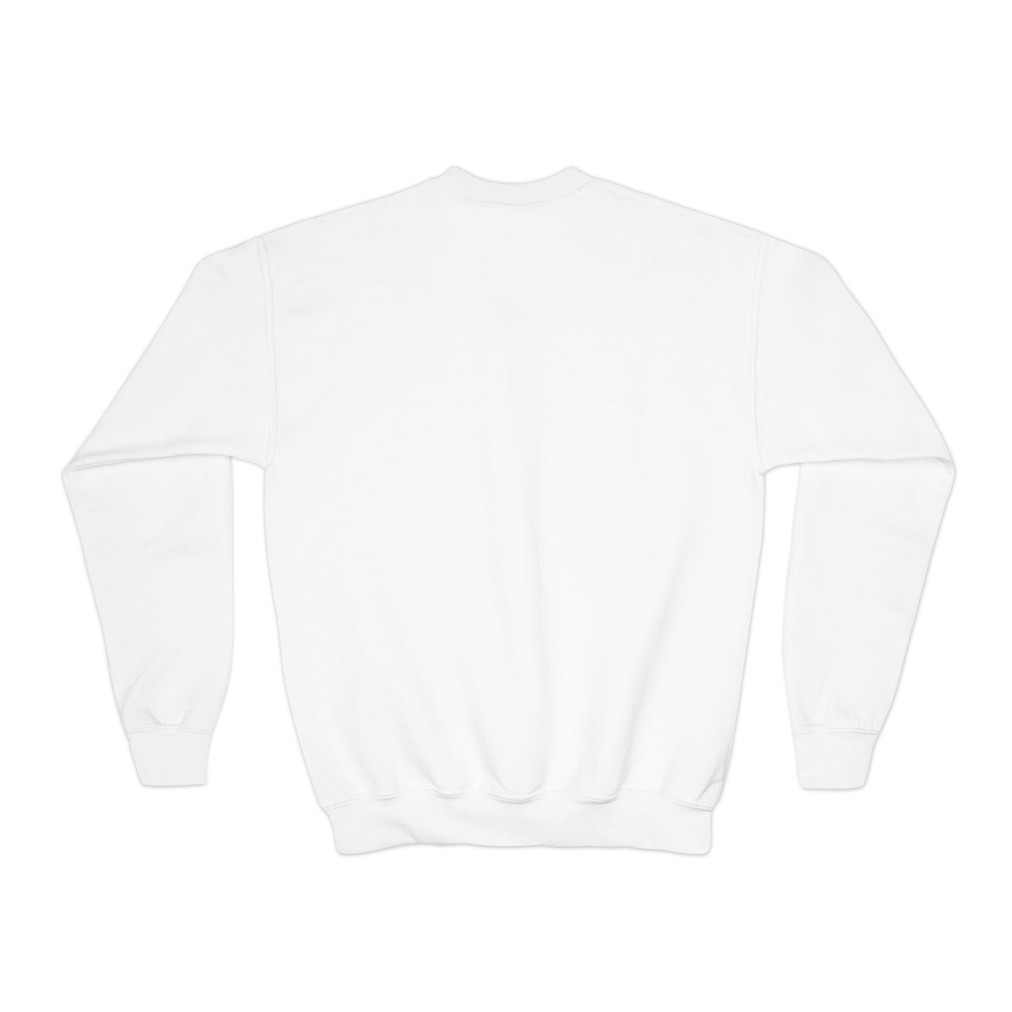 Youth Collection - Modesty DWI Youth Crewneck Sweatshirt