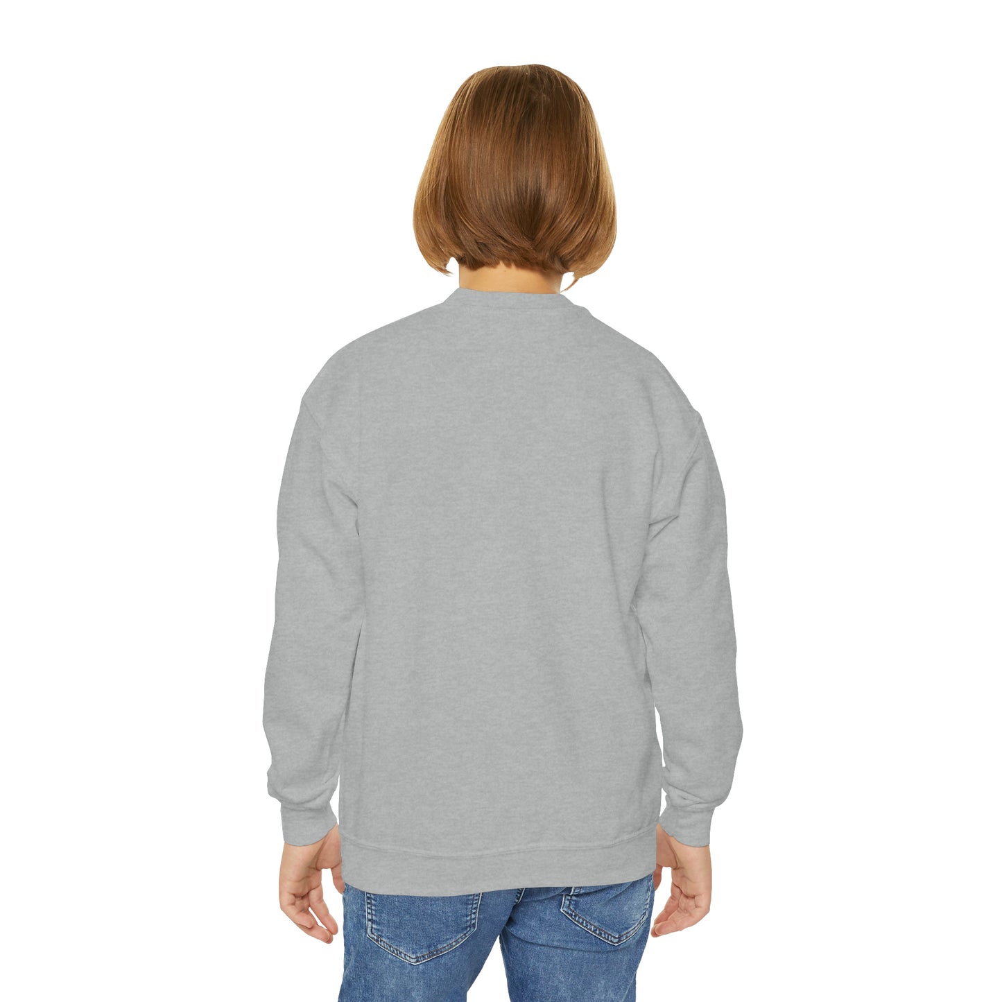 Youth Collection - Modesty DWI Youth Crewneck Sweatshirt