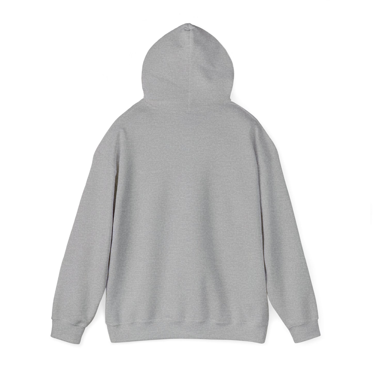 Top Modesty Hooded Sweatshirt Unisex Heavy Blend