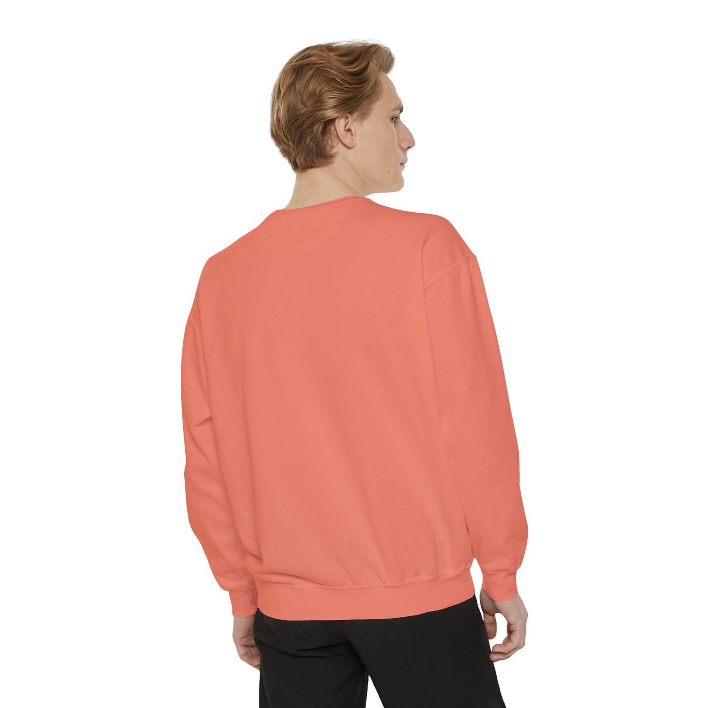 Top Modesty Tag Logo Unisex Garment-Dyed Sweatshirt