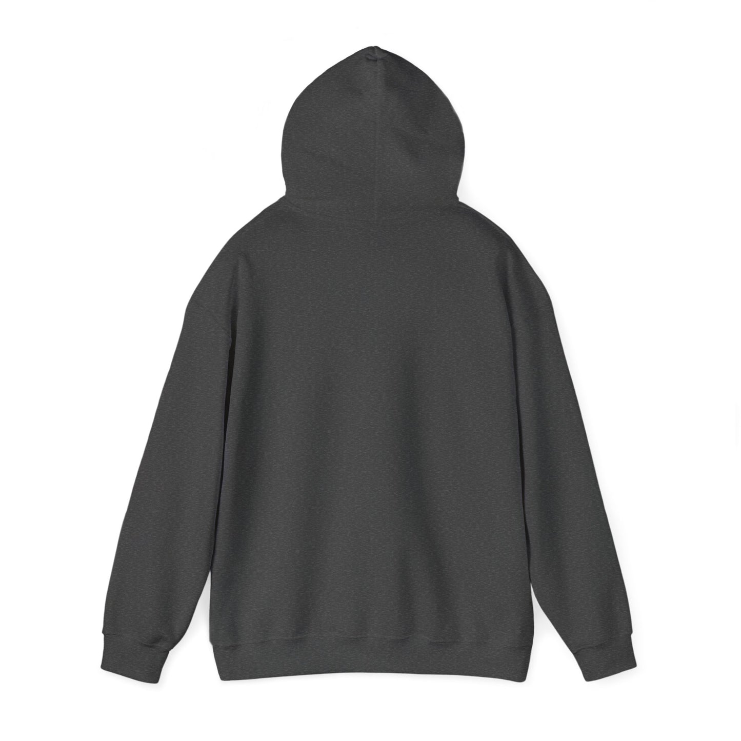 Top Modesty Hooded One Sweatshirt (unisex)