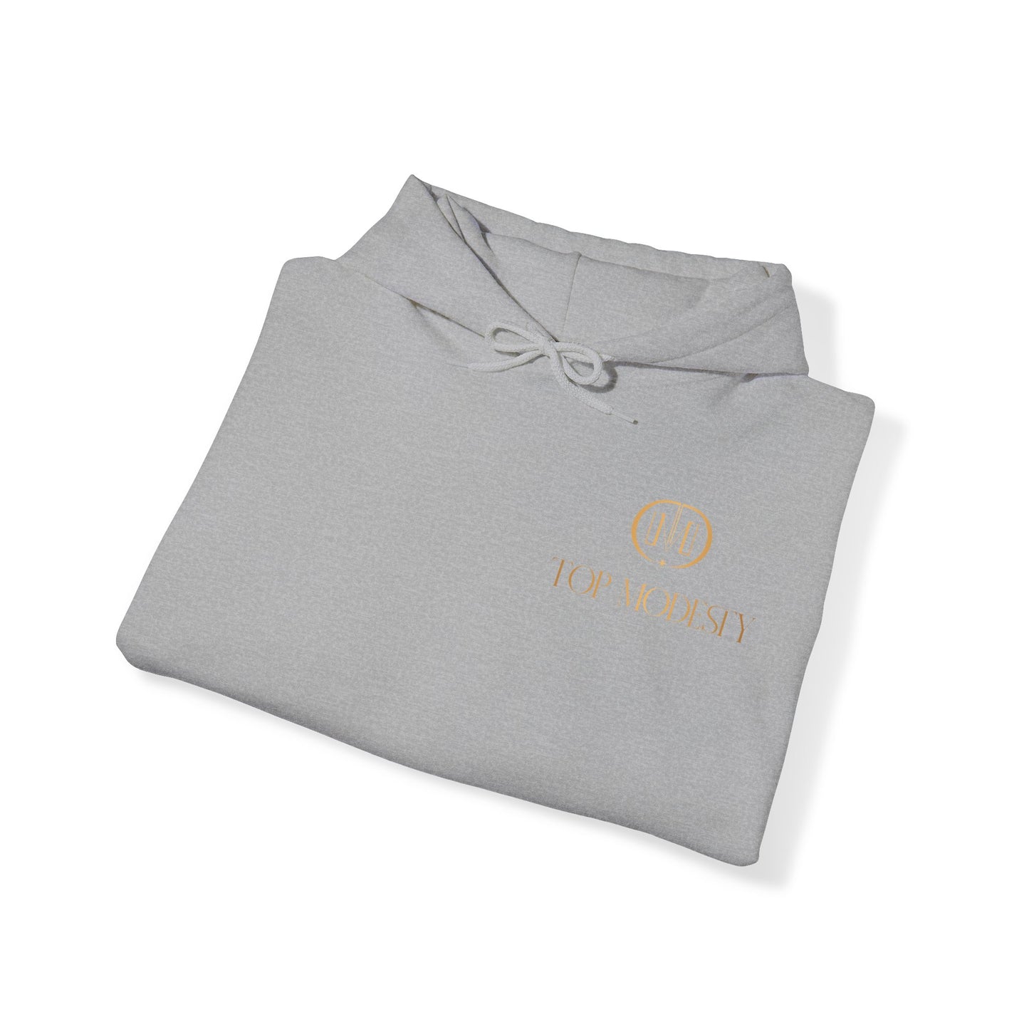 Top Modesty Winning Collection Unisex Heavy Blend™ Hooded Sweatshirt