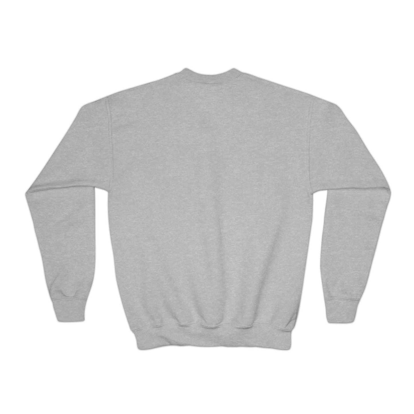 Youth Collection - Modesty DWI Youth Crewneck Sweatshirt