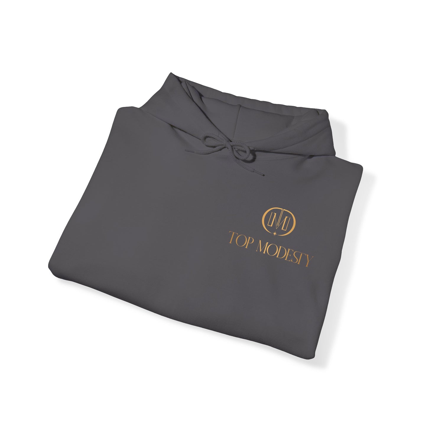 Top Modesty Winning Collection Unisex Heavy Blend™ Hooded Sweatshirt